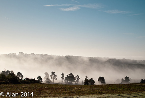 Ashdown Forest