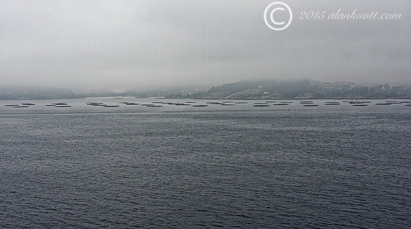 Vigo