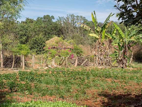 ACTS, Rayasandra campus