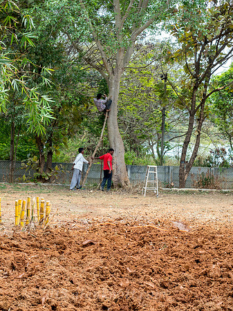 ACTS, Rayasandra campus