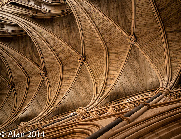 Southward Cathedral roof